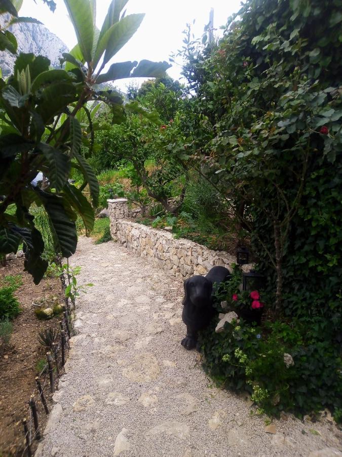 Villa Victoria Gradac  Eksteriør bilde
