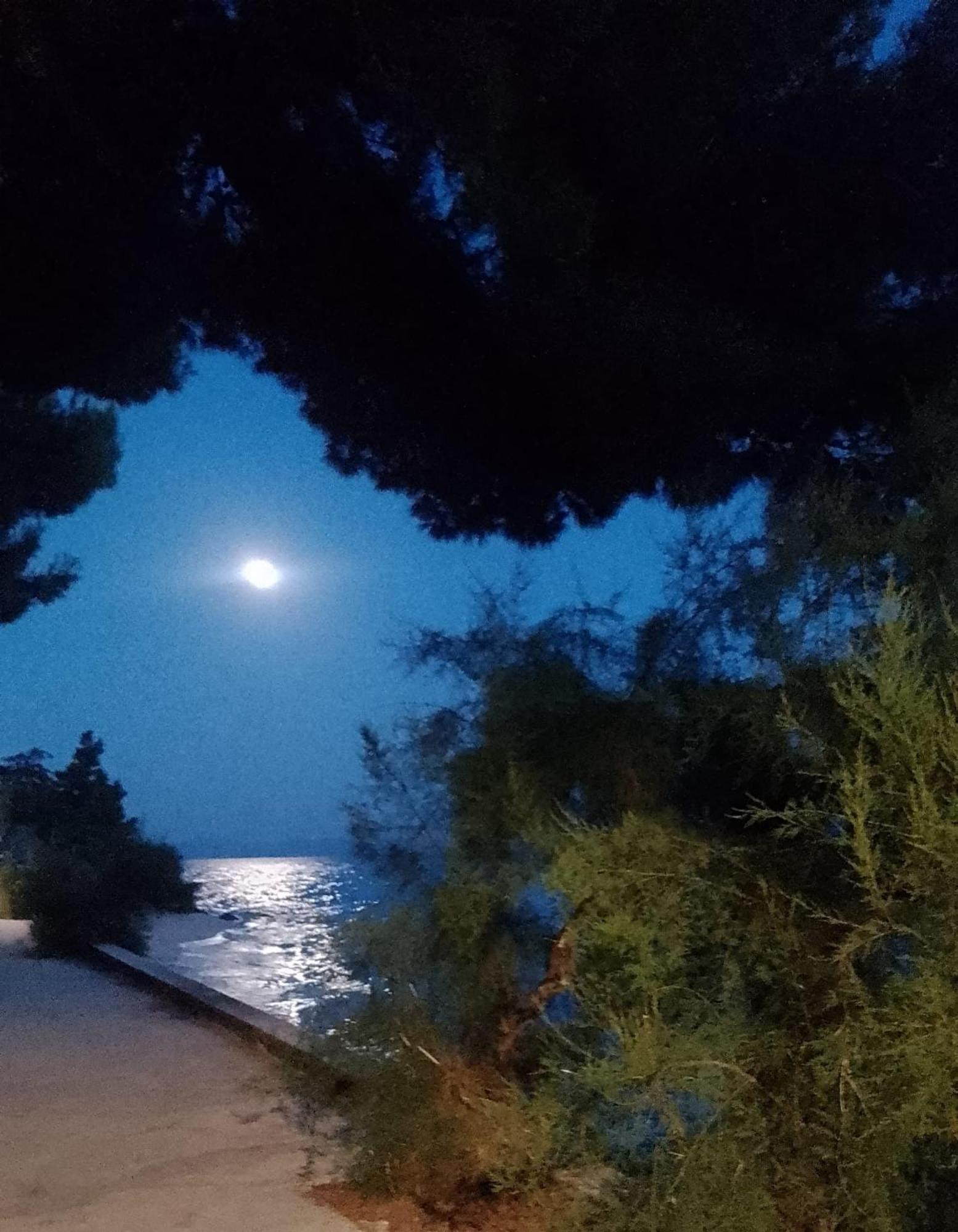 Villa Victoria Gradac  Eksteriør bilde